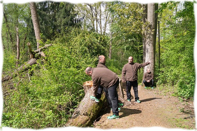Sven fünfmal in einer Waldszene: an einem Baumstumpf, zwischen Bäumen und auf dem Waldweg.